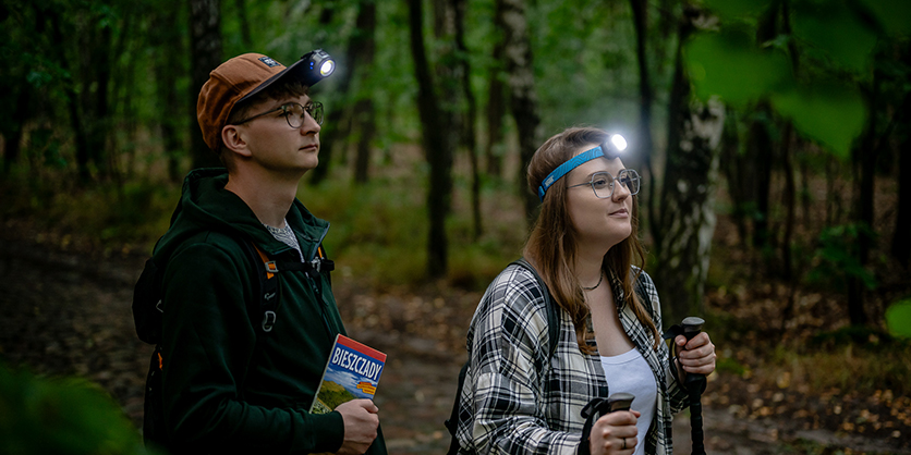 Best image for Newell Campina Multi Headlamp Flashlight