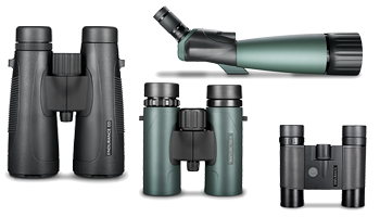 Logo for Binoculars & Scopes