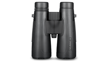 Logo for Binoculars Fullsize