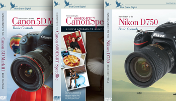 Logo for Books, Mags and DVDs