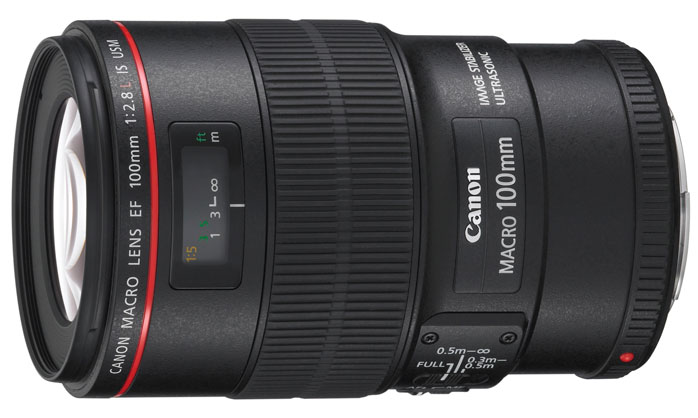 Best image for Canon EF 100mm f2.8 L IS USM Macro lens