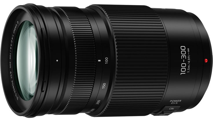 Best image for Panasonic AF 100-300/4.0-5.6 G OIS II