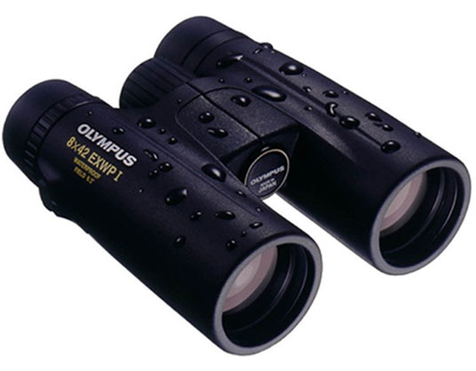 Best image for Olympus 8x42 EXWP I Binocular