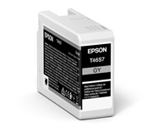 Best image for Epson T46S7 Gray - for P706