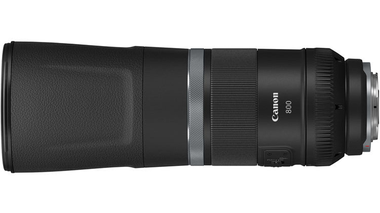 Best image for Canon RF 800mm f/11 IS STM Lens