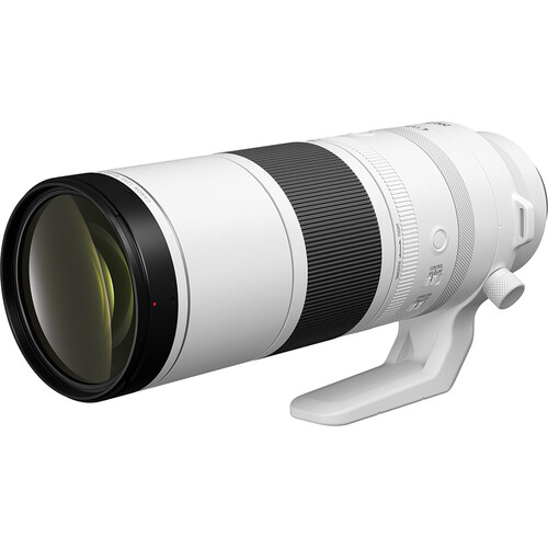 Best image for Canon RF 200-800mm f/6.3-9 IS USM Lens