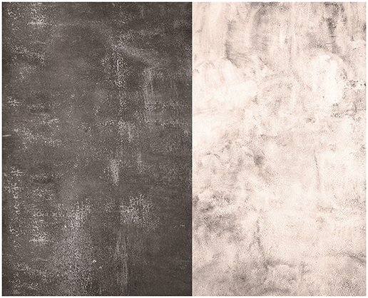Best image for Krane 57x87cm 2 sides Backdrop WY-L16