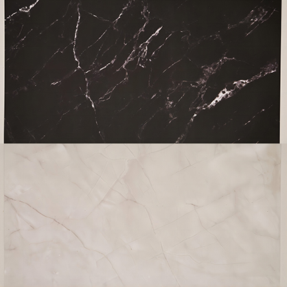 Best image for Krane 57x87cm 2 sides Backdrop WY-L04