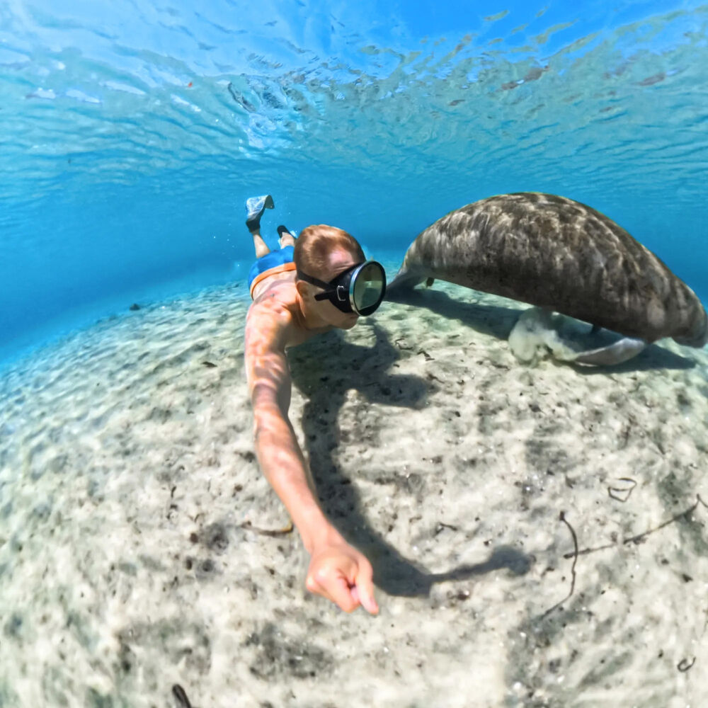 1025960_C.jpg - insta360 Invisible Dive Case for X5 - Image 3