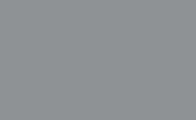 BD Background Roll Graystone - Best Available Image