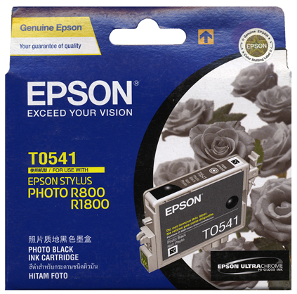 Epson T0541 Black Ink for R800/R1800