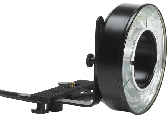 Best image for Profoto Acute/D4 Ring Flash