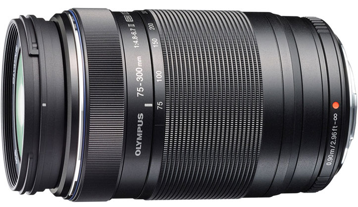 Best image for Olympus 75-300mm II f 4.8-6.7 lens