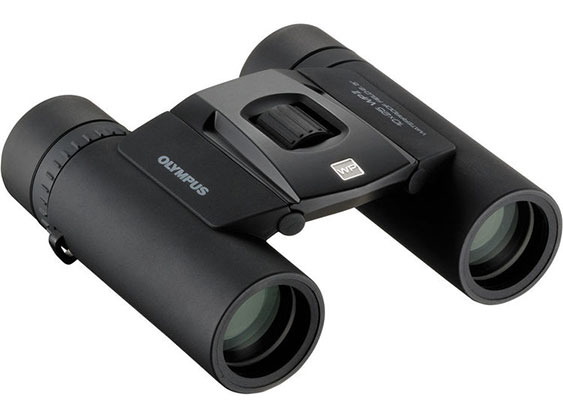Olympus 10x25 WPII Binocular (Black) - Best Available Image