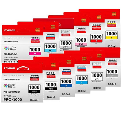 Best image for Canon PFI-1000 ink set