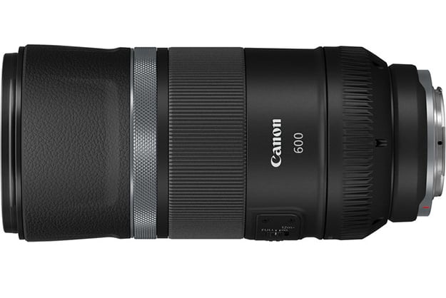 Best image for Canon RF 600mm f/11 IS STM Lens