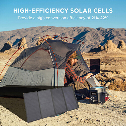 1019051_C.jpg - EcoFlow 160W Solar Panel