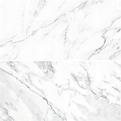 Best image for Krane 57x87cm 2 sides Backdrop WY-L12