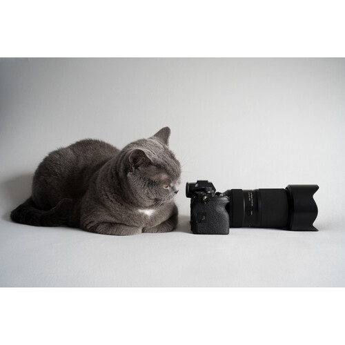1023391_E.jpg - Tamron 50-300mm f/4.5-6.3 Di III VC VXD Lens Sony E - Image 5