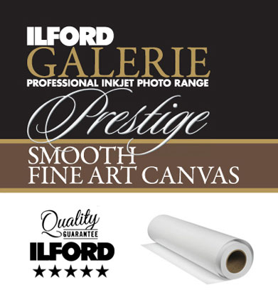 Best image for Ilford Galerie FineArt Canvas 17x13 Inch