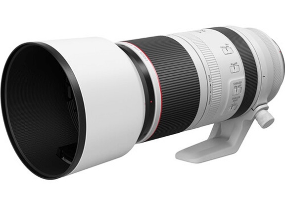 1016082_A.jpg - Canon RF 100-500mm f/4.5-7.1L IS USM Lens