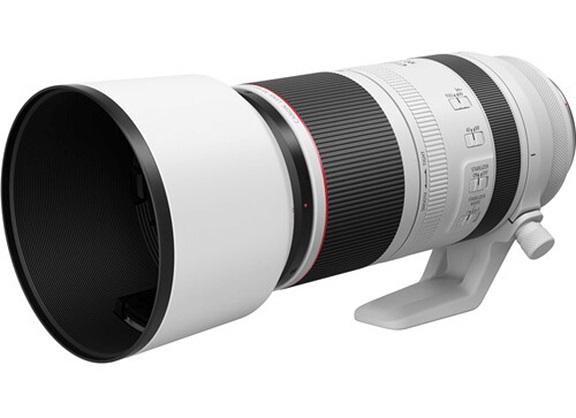 1016082_A.jpg - Canon RF 100-500mm f/4.5-7.1L IS USM Lens - Image 1