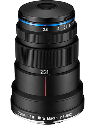 Best image for Laowa 25mm f2.8 2.5-5X Ultra Macro Lens - Sony FE