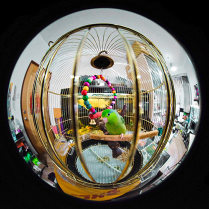 1018652_D.jpg - Laowa 4mm f/2.8 Fisheye Lens for Fuji X - Image 4