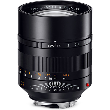 Best image for Leica Noctilux-M 75 mm f/1.25 ASPH Lens