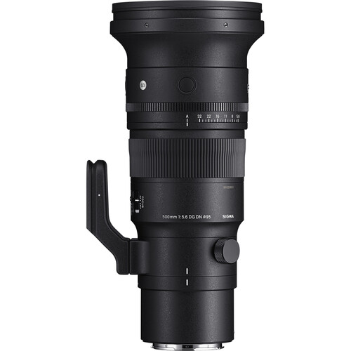 Best image for Sigma 500mm f/5.6 DG DN OS Sports Lens (Leica L)