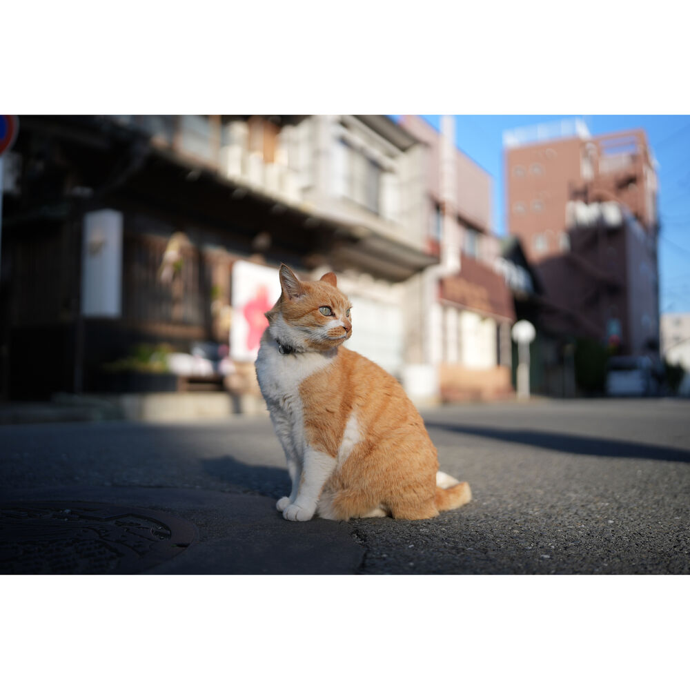 1026162_C.jpg - Sigma Sony FE 35mm f/1.4 DG II Art Lens - Image 3