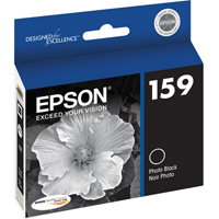 Epson Photo Black Ink Cartridge - R2000 - Best Available Image