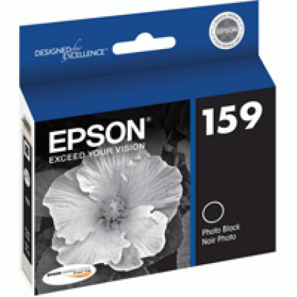 Epson Photo Black Ink Cartridge - R2000