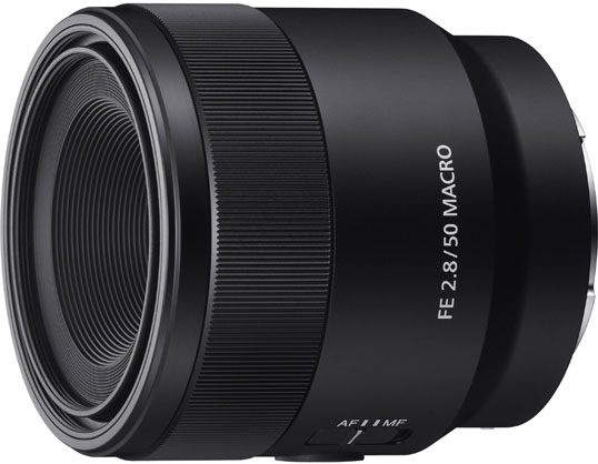 Best image for Sony 50mm F2.8 Macro E Mount Lens