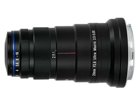 Best image for Laowa 25mm f/2.8 2.5-5X Ultra Macro - Canon RF