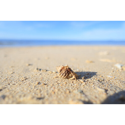 1018563_E.jpg - Canon RF 16mm f/2.8 STM Lens - Image 5