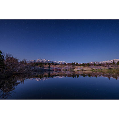 1021353_D.jpg - Sigma 14mm f/1.4 DG DN Art Lens (Sony E) - Image 4