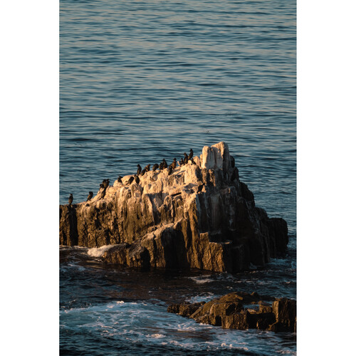 1022413_B.jpg - Tokina SZ 300mm f/7.1 Pro Reflex MF CF Lens (FUJIFILM X) - Image 2