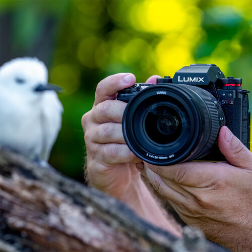 1024473_E.jpg - Panasonic S1R II with 24-105mm Lens Kit - Image 5