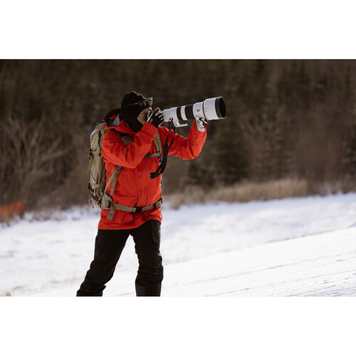 1024483_D.jpg - Sony FE 400-800mm f/6.3-8 G OSS Lens - Image 4