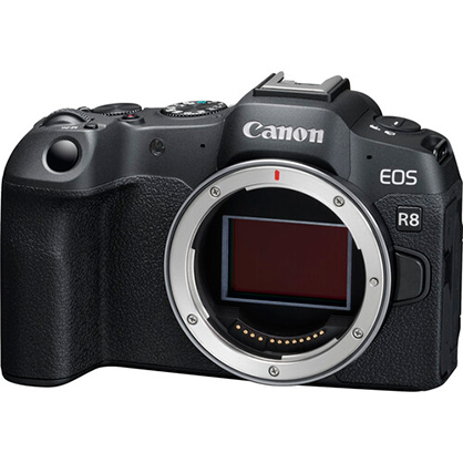 Best image for Canon EOS R8 Body Only