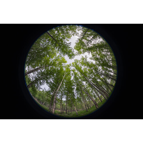 1024944_E.jpg - Laowa 8-15mm f/2.8 Fisheye Lens (Canon RF) - Image 5