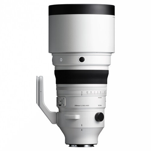 Best image for Sigma Leica L Mount 200mm f/2 DG OS Sports Lens