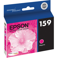 Best image for Epson Magenta Ink Cartridge - R2000