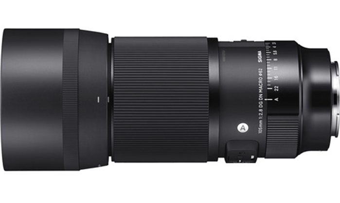 Best image for Sigma 105mm f/2.8 DG DN Macro Art Sony E mount