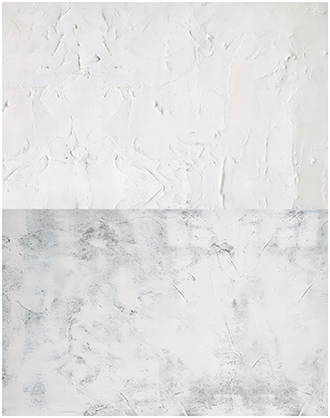 Best image for Krane 57x87cm 2 sides Backdrop WY-L21