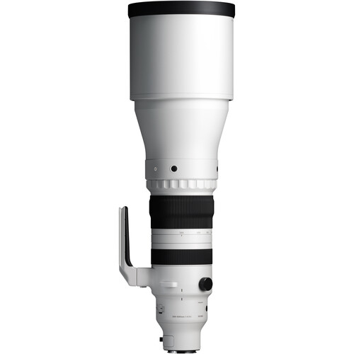 Best image for Sigma 300-600mm f/4 DG OS Sports Lens (L-Mount)