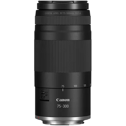 1024675_B.jpg - Canon RF 75-300mm f/4-5.6 Lens - Image 2