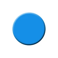 Best image for Epson 4800/4880 K3 Ultra-Chrome Pigment Ink Cyan (220ml)