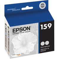 Epson Gloss Optimiser Ink Cartridge - R2000 - Best Available Image